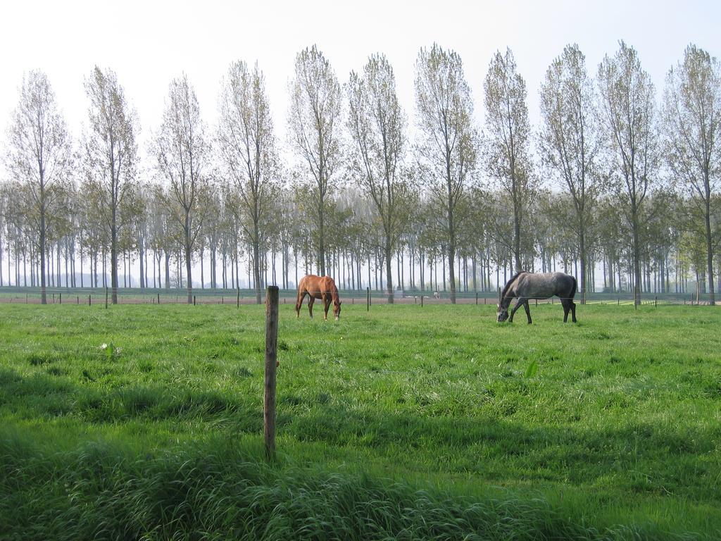 Jardin De Lieze Βίλα Maldegem Εξωτερικό φωτογραφία